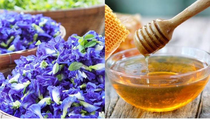 Nguyên liệu pha trà hoa đậu biếc và mật ong